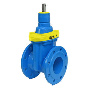 gate valve 1