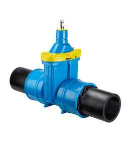 gate valve