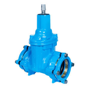 gate valve