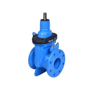 gate valve 1