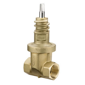 gate valve 1