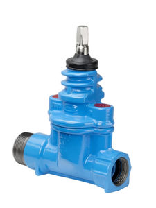 gate valve 1
