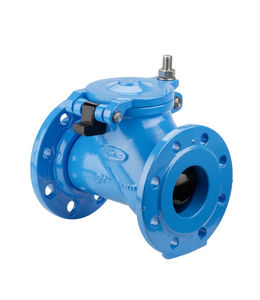 ball check valve