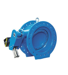 disc check valve 1