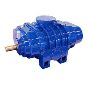 Roots vacuum pump