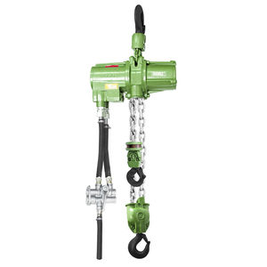 pneumatic chain hoist 1