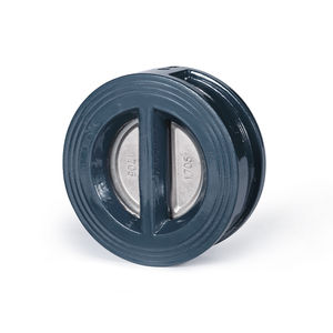 dual plate check valve 1