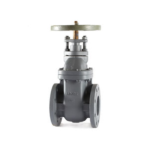 gate valve 1