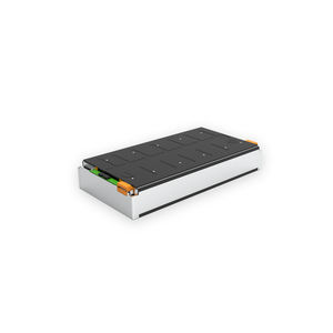 prismatic battery module