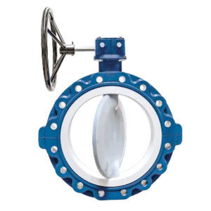butterfly valve 1