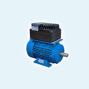 reluctance motor