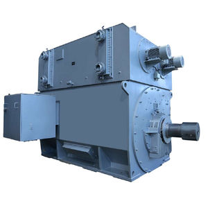 induction motor