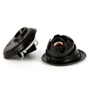 elastomer seal