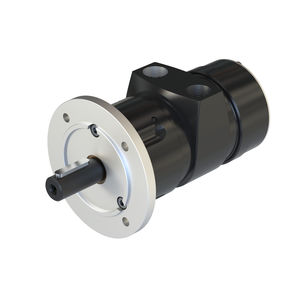 vane air motor 1