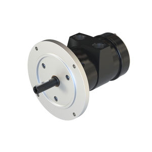 vane air motor 1