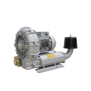 side-channel pump 1
