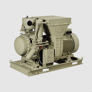 screw compressor 1