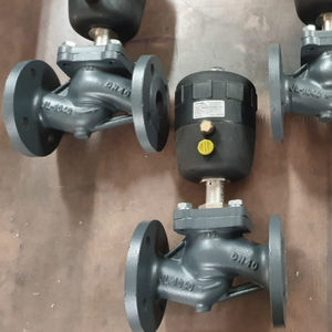 pneumatic valve