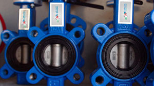 butterfly valve