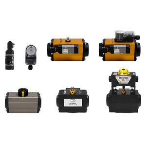 pneumatic actuator