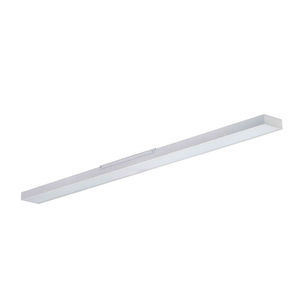 ceiling-mounted lighting