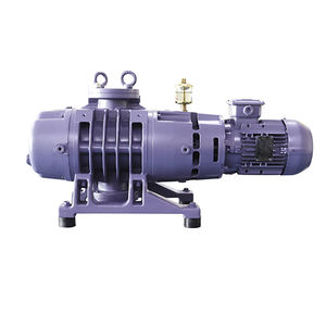 Roots vacuum pump 1