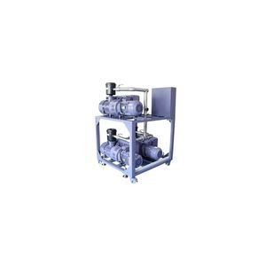 Roots pump vacuum system