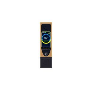 gas detector 1