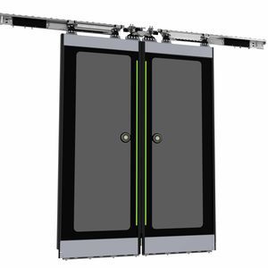 tempered glass train door