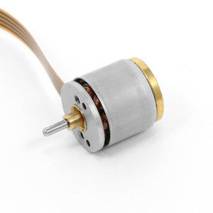 brushless motor