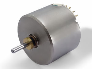 brushless motor