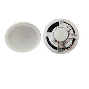 ceiling loudspeaker 1