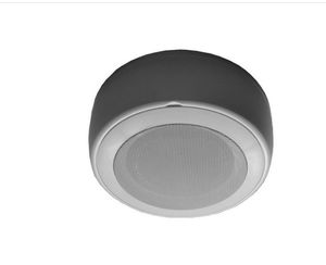 ceiling loudspeaker 1