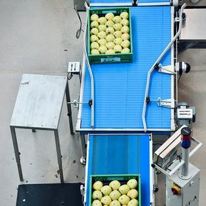 Sorting and feeding line