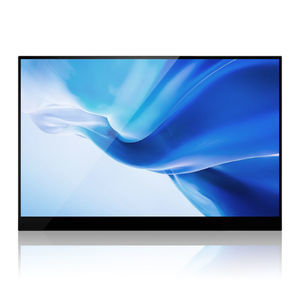 IPS LCD monitor 1