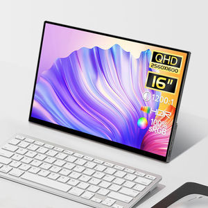 IPS LCD monitor 1