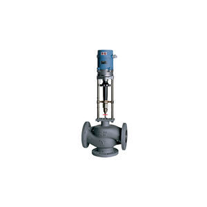 globe valve