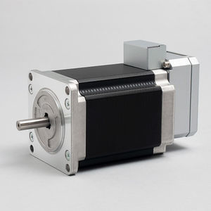 AC servomotor