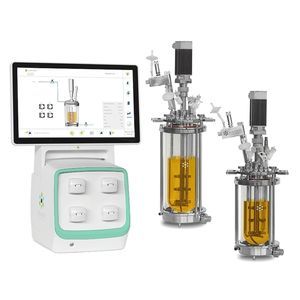 fed-batch bioreactor / fermentor 1