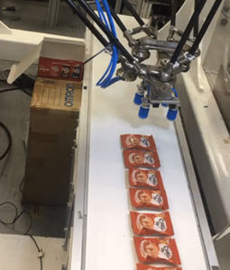 horizontal case packer