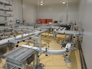 belt conveyor