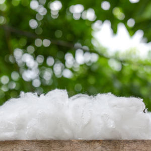 polyester fiber