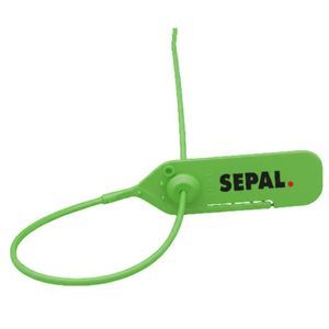 carbon steel security seal