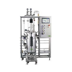 stirred-tank bioreactor / fermentor