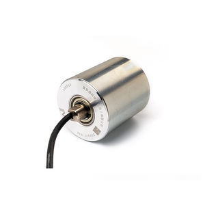 brushless DC motorized roller