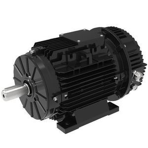 synchronous motor