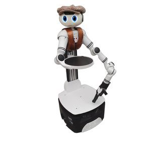 food delivery robot