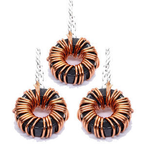 ferrous core inductor 1