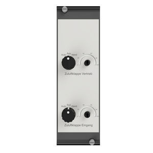 analog output module