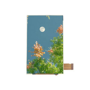 TFT LCD display module
